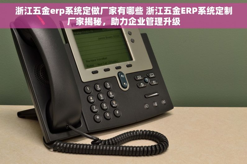 浙江五金erp系统定做厂家有哪些 浙江五金ERP系统定制厂家揭秘，助力企业管理升级