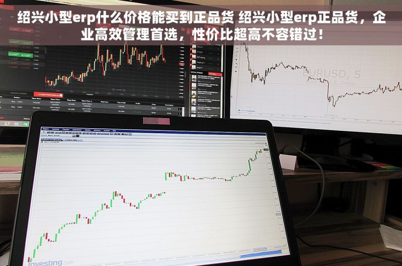绍兴小型erp什么价格能买到正品货 绍兴小型erp正品货，企业高效管理首选，性价比超高不容错过！