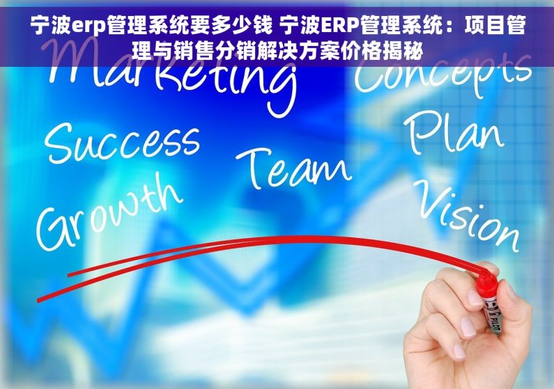宁波erp管理系统要多少钱 宁波ERP管理系统：项目管理与销售分销解决方案价格揭秘
