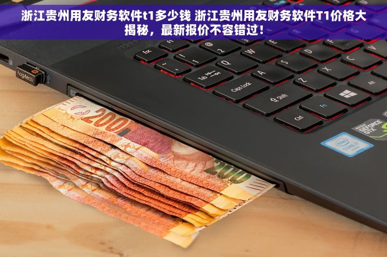 浙江贵州用友财务软件t1多少钱 浙江贵州用友财务软件T1价格大揭秘，最新报价不容错过！