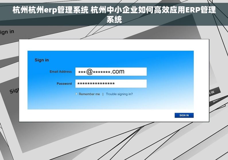 杭州杭州erp管理系统 杭州中小企业如何高效应用ERP管理系统