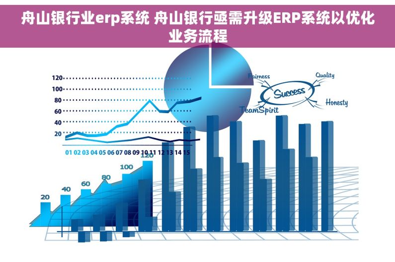 舟山银行业erp系统 舟山银行亟需升级ERP系统以优化业务流程