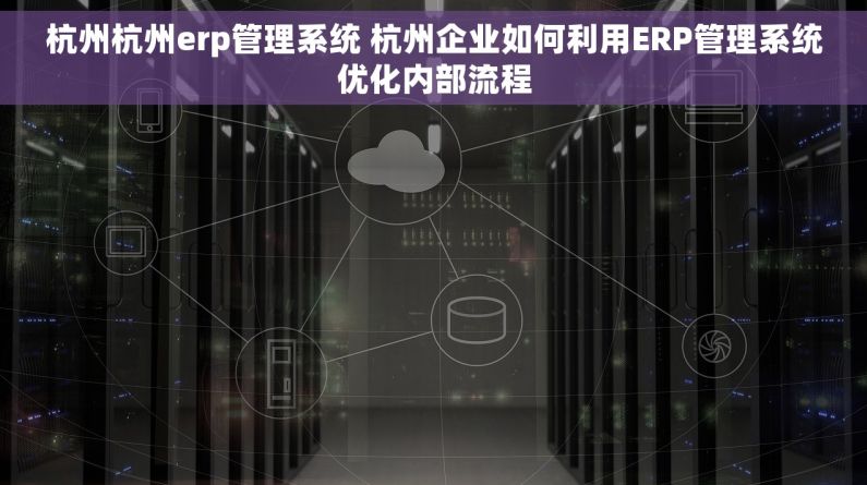 杭州杭州erp管理系统 杭州企业如何利用ERP管理系统优化内部流程