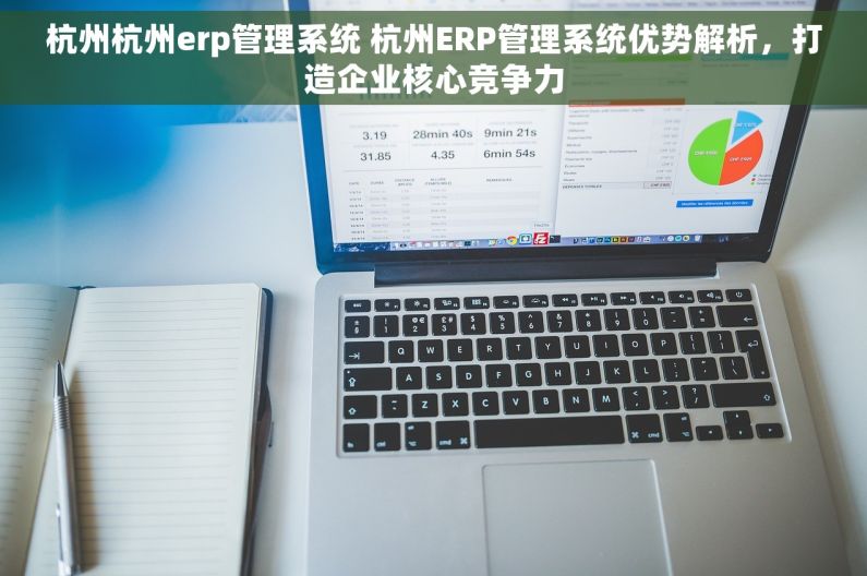 杭州杭州erp管理系统 杭州ERP管理系统优势解析，打造企业核心竞争力