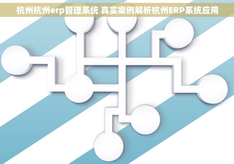 杭州杭州erp管理系统 真实案例解析杭州ERP系统应用