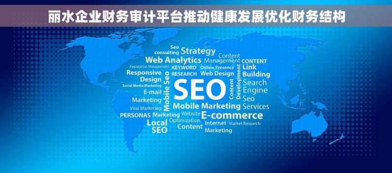丽水企业财务审计平台推动健康发展优化财务结构