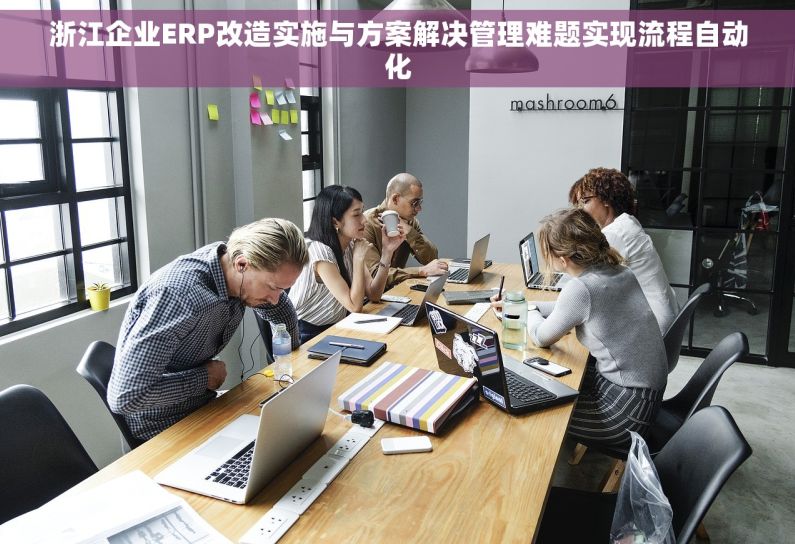 浙江企业ERP改造实施与方案解决管理难题实现流程自动化