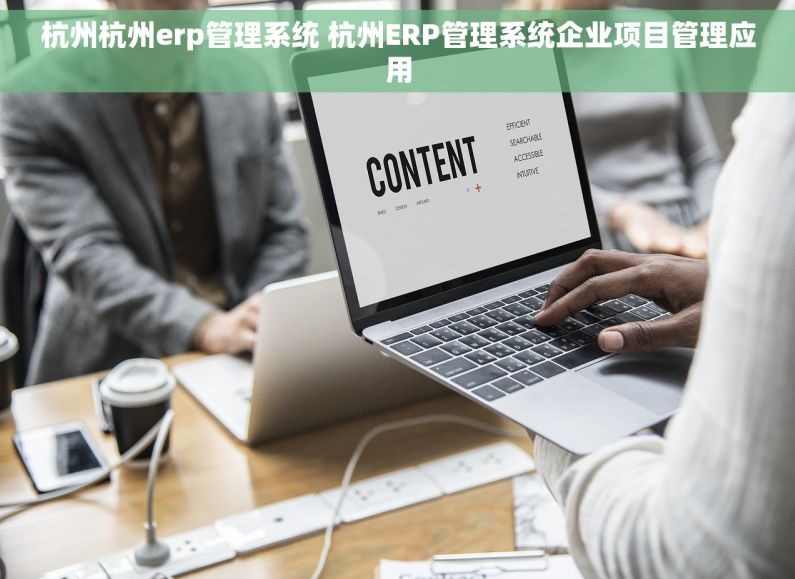 杭州杭州erp管理系统 杭州ERP管理系统企业项目管理应用