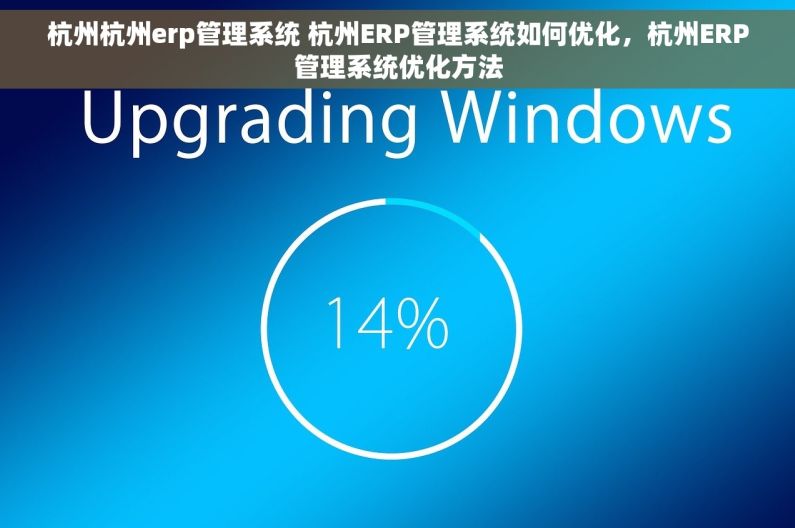 杭州杭州erp管理系统 杭州ERP管理系统如何优化，杭州ERP管理系统优化方法