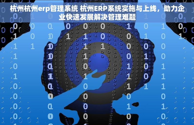 杭州杭州erp管理系统 杭州ERP系统实施与上线，助力企业快速发展解决管理难题