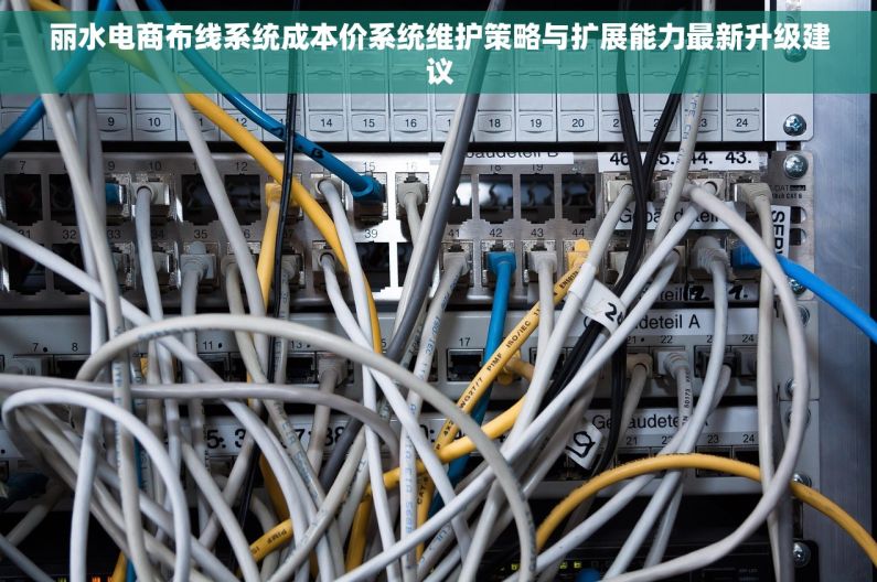丽水电商布线系统成本价系统维护策略与扩展能力最新升级建议