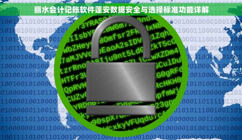 丽水会计记账软件蓬安数据安全与选择标准功能详解