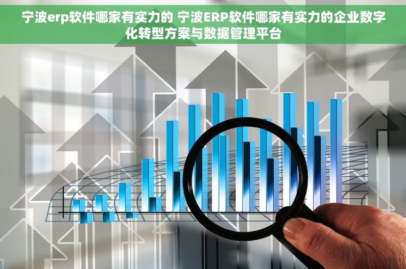 宁波erp软件哪家有实力的 宁波ERP软件哪家有实力的企业数字化转型方案与数据管理平台