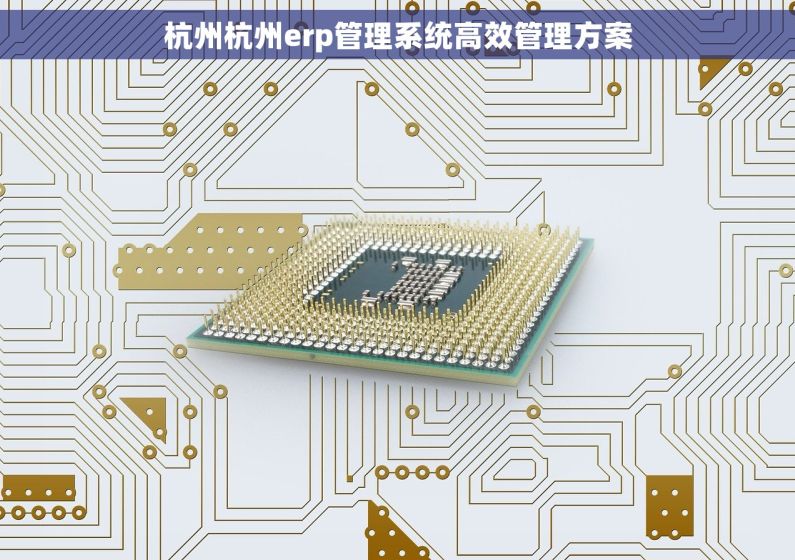杭州杭州erp管理系统高效管理方案