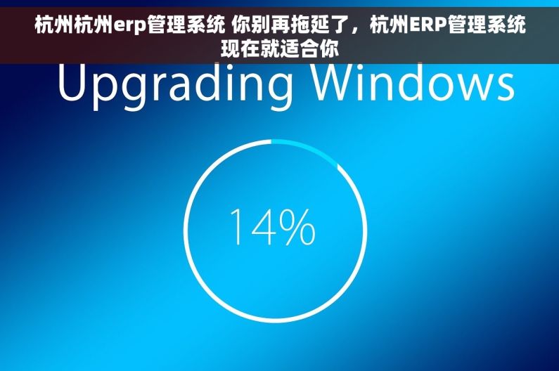 杭州杭州erp管理系统 你别再拖延了，杭州ERP管理系统现在就适合你