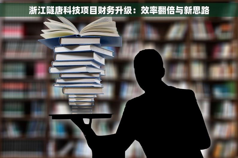 浙江隧唐科技项目财务升级：效率翻倍与新思路