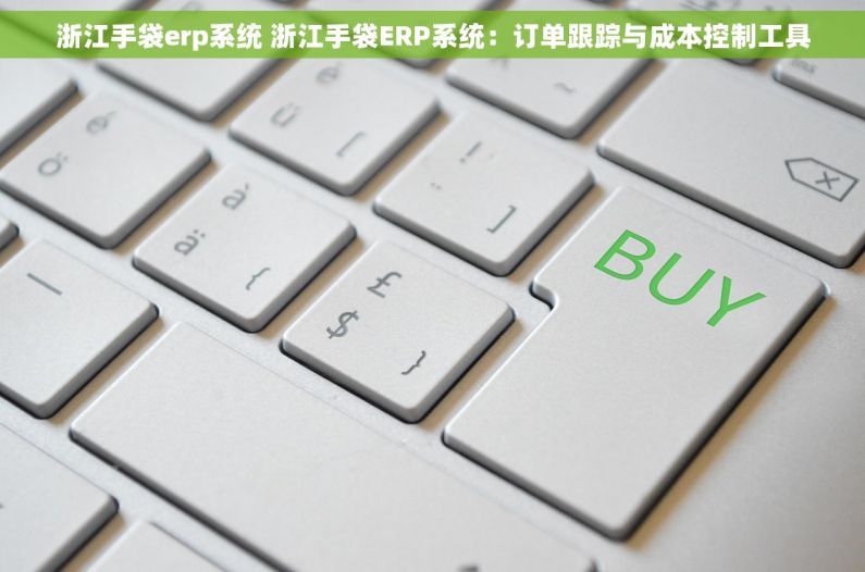 浙江手袋erp系统 浙江手袋ERP系统：订单跟踪与成本控制工具