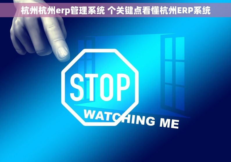 杭州杭州erp管理系统 个关键点看懂杭州ERP系统