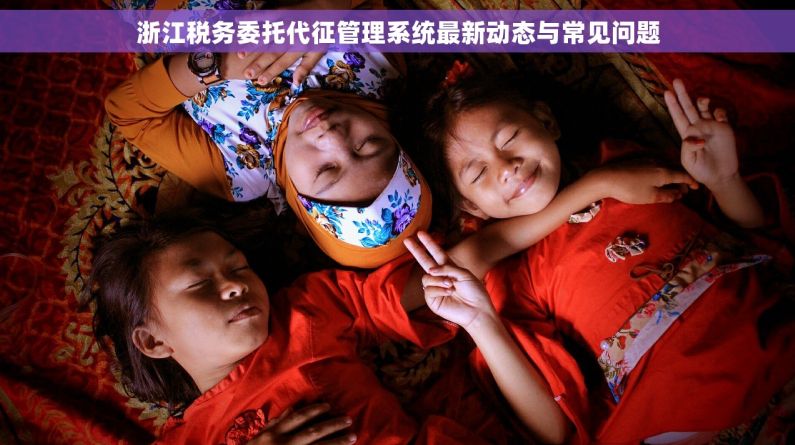 浙江税务委托代征管理系统最新动态与常见问题