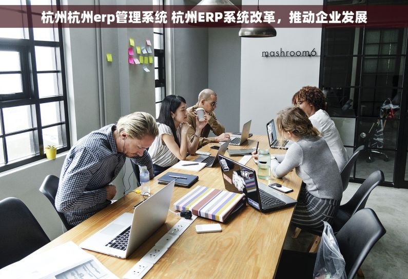 杭州杭州erp管理系统 杭州ERP系统改革，推动企业发展