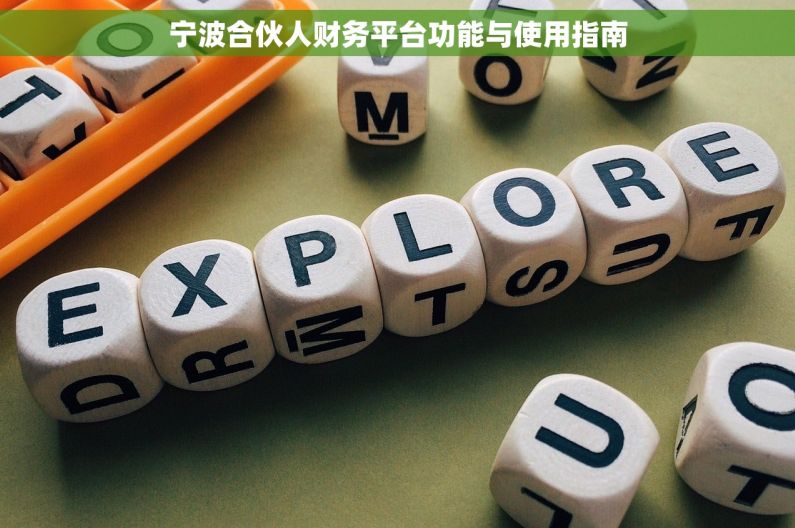 宁波合伙人财务平台功能与使用指南
