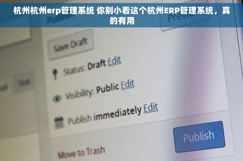 杭州杭州erp管理系统 你别小看这个杭州ERP管理系统，真的有用