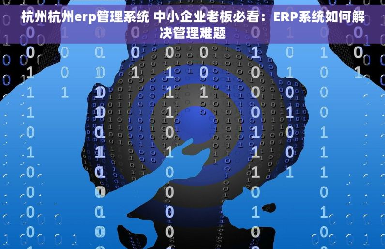 杭州杭州erp管理系统 中小企业老板必看：ERP系统如何解决管理难题
