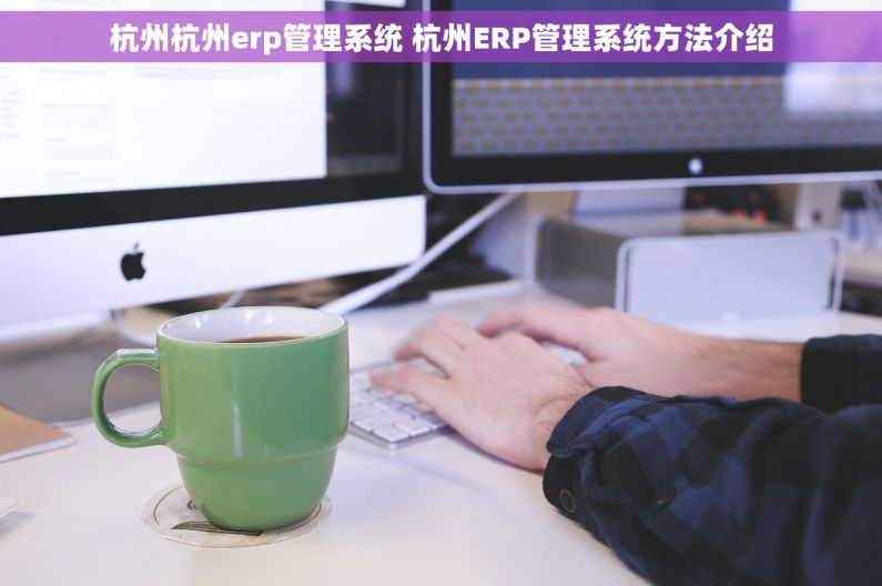 杭州杭州erp管理系统 杭州ERP管理系统方法介绍