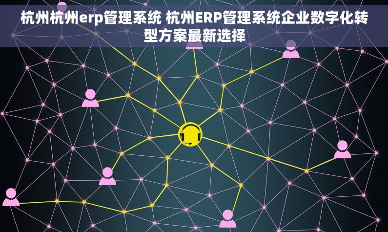 杭州杭州erp管理系统 杭州ERP管理系统企业数字化转型方案最新选择