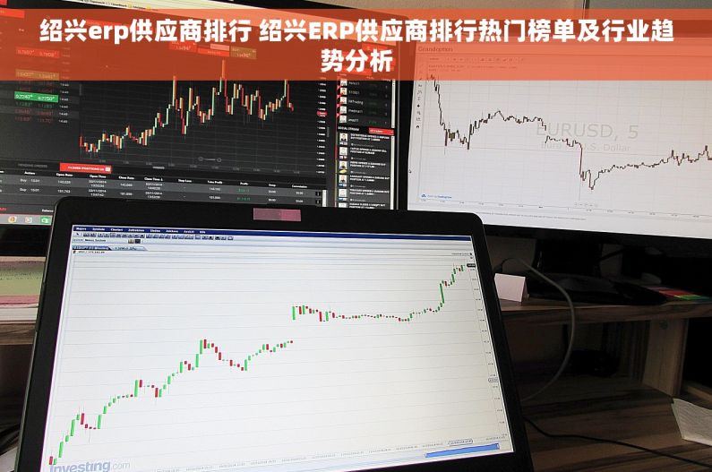绍兴erp供应商排行 绍兴ERP供应商排行热门榜单及行业趋势分析