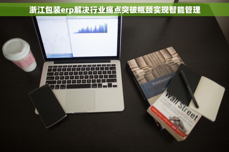 浙江包装erp解决行业痛点突破瓶颈实现智能管理