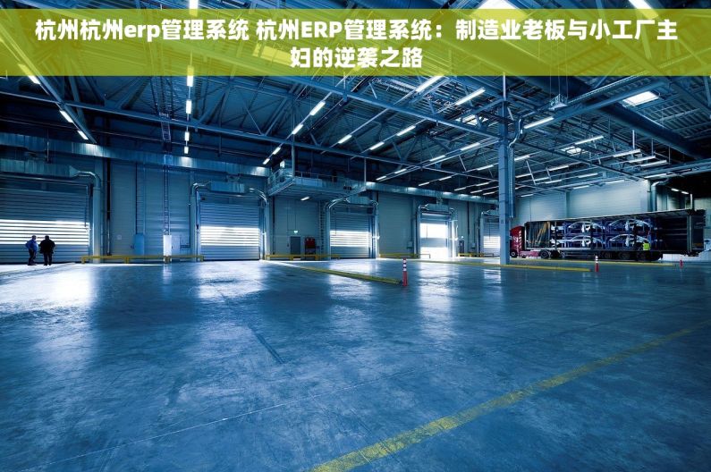 杭州杭州erp管理系统 杭州ERP管理系统：制造业老板与小工厂主妇的逆袭之路