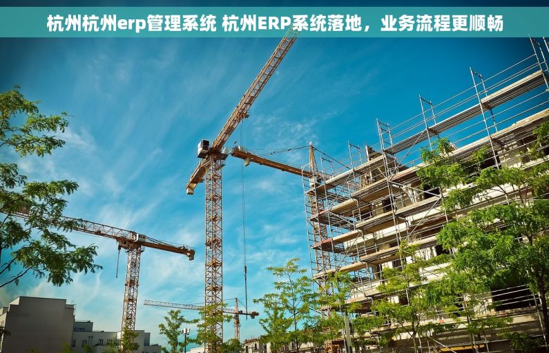 杭州杭州erp管理系统 杭州ERP系统落地，业务流程更顺畅