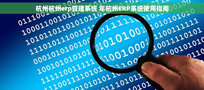 杭州杭州erp管理系统 年杭州ERP系统使用指南