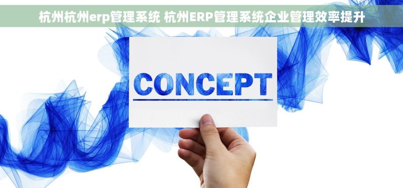 杭州杭州erp管理系统 杭州ERP管理系统企业管理效率提升