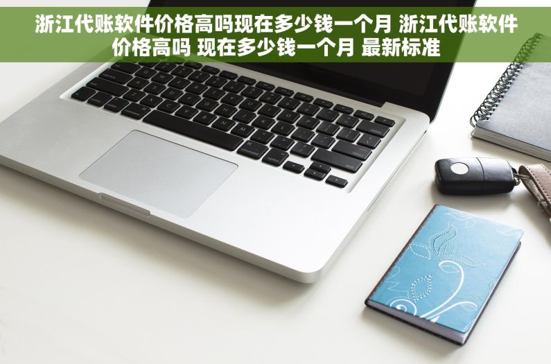 浙江代账软件价格高吗现在多少钱一个月 浙江代账软件价格高吗 现在多少钱一个月 最新标准