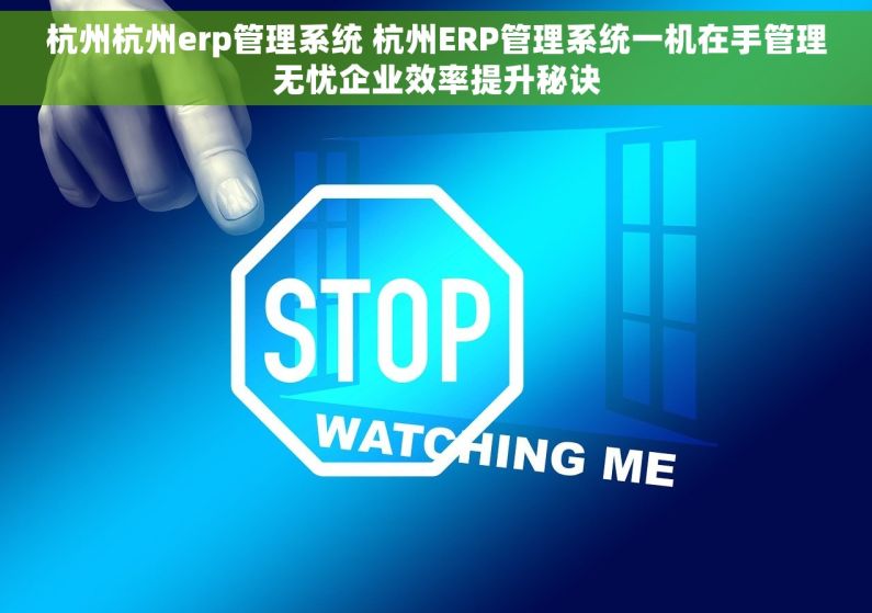 杭州杭州erp管理系统 杭州ERP管理系统一机在手管理无忧企业效率提升秘诀