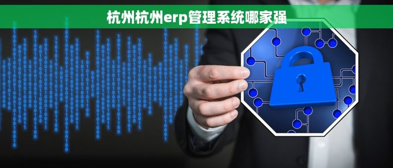 杭州杭州erp管理系统哪家强