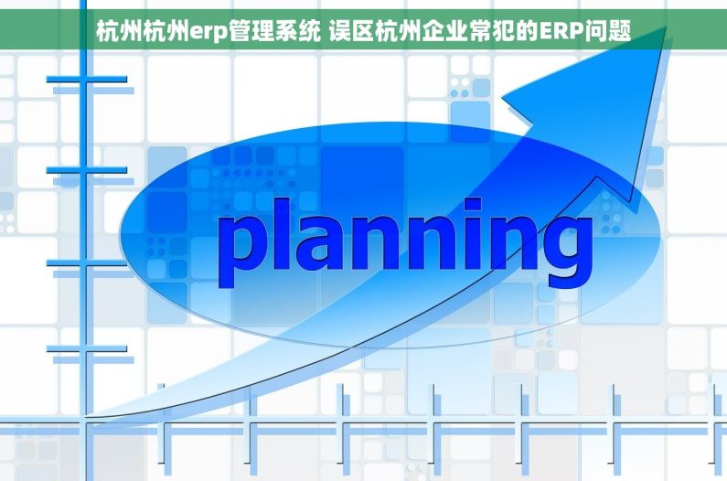 杭州杭州erp管理系统 误区杭州企业常犯的ERP问题