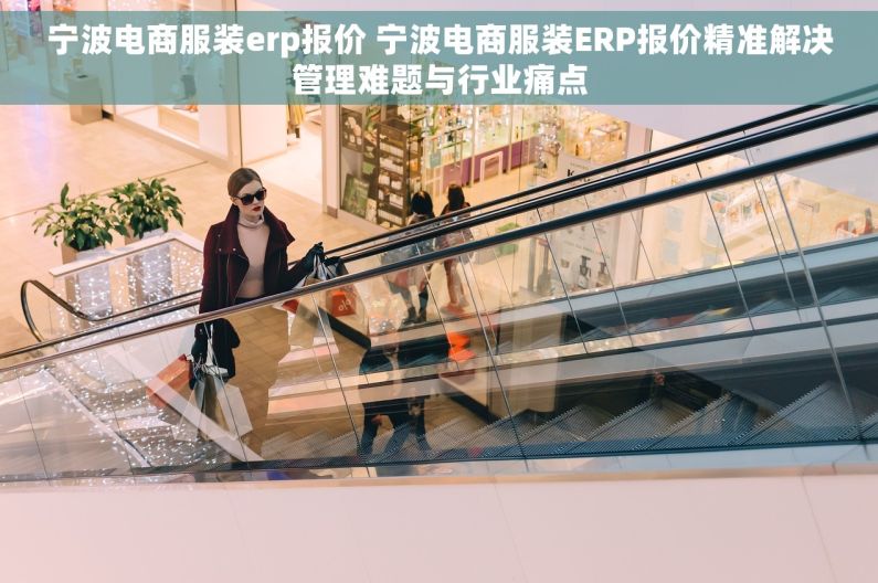 宁波电商服装erp报价 宁波电商服装ERP报价精准解决管理难题与行业痛点