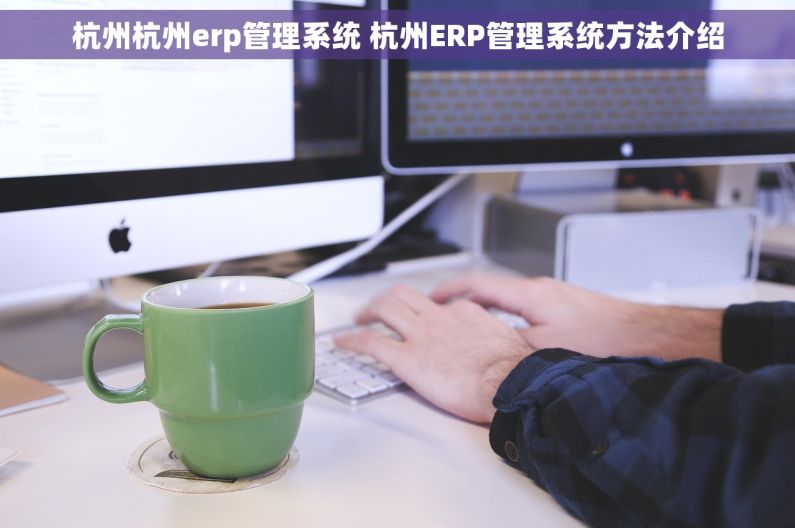 杭州杭州erp管理系统 杭州ERP管理系统方法介绍