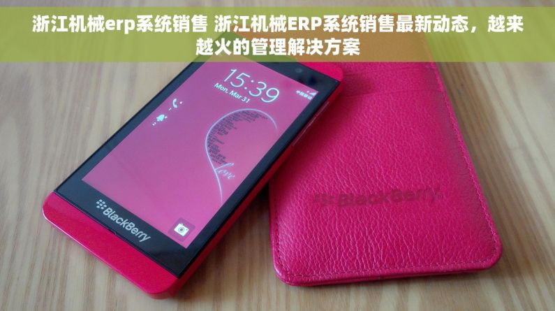 浙江机械erp系统销售 浙江机械ERP系统销售最新动态，越来越火的管理解决方案
