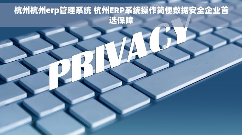 杭州杭州erp管理系统 杭州ERP系统操作简便数据安全企业首选保障