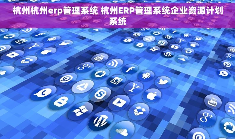 杭州杭州erp管理系统 杭州ERP管理系统企业资源计划系统