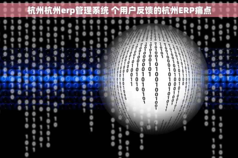 杭州杭州erp管理系统 个用户反馈的杭州ERP痛点
