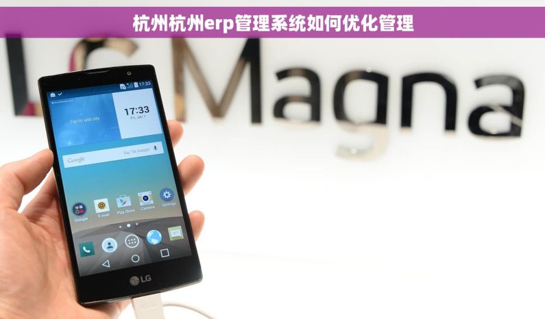 杭州杭州erp管理系统如何优化管理