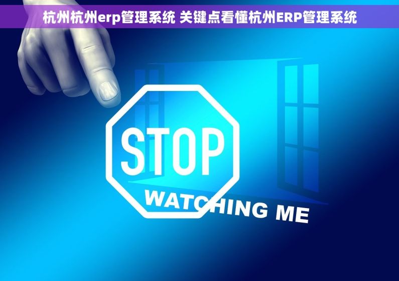 杭州杭州erp管理系统 关键点看懂杭州ERP管理系统