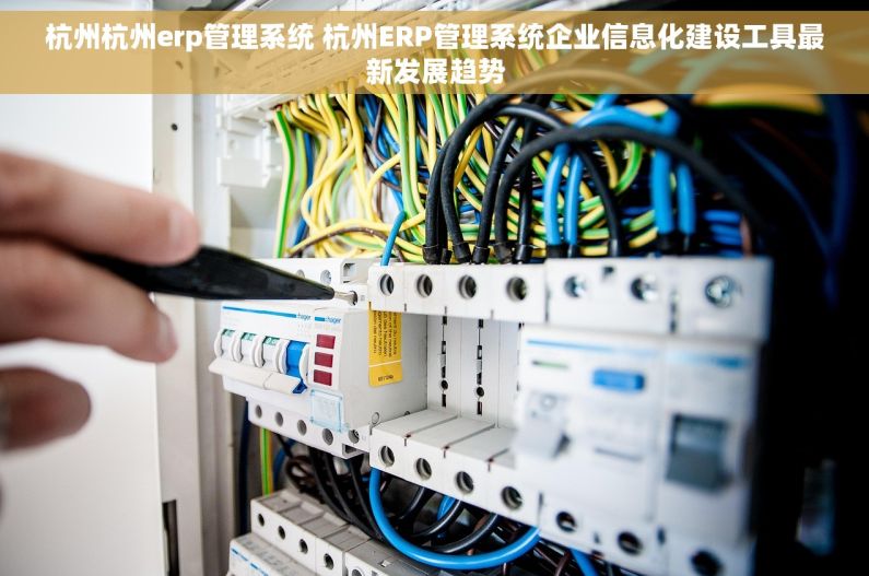 杭州杭州erp管理系统 杭州ERP管理系统企业信息化建设工具最新发展趋势