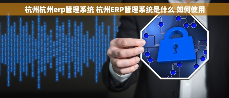 杭州杭州erp管理系统 杭州ERP管理系统是什么 如何使用