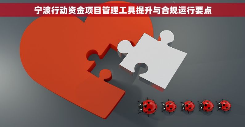 宁波行动资金项目管理工具提升与合规运行要点